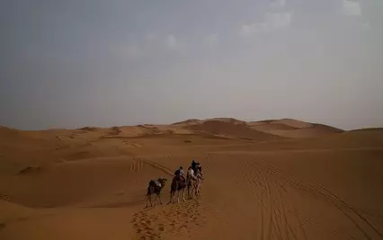 Merzouga Sunrise Camel Ride