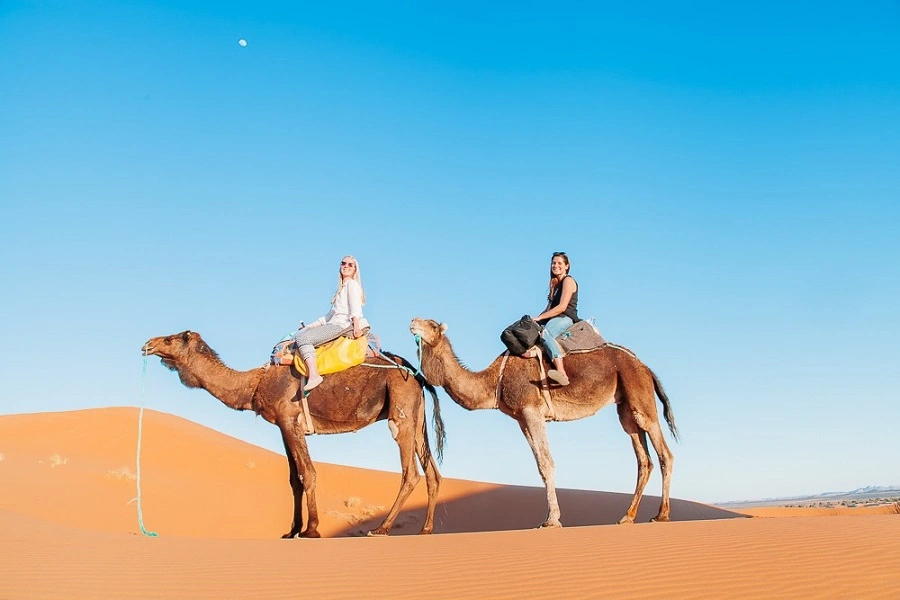 12-Day Morocco Tour from Casablanca