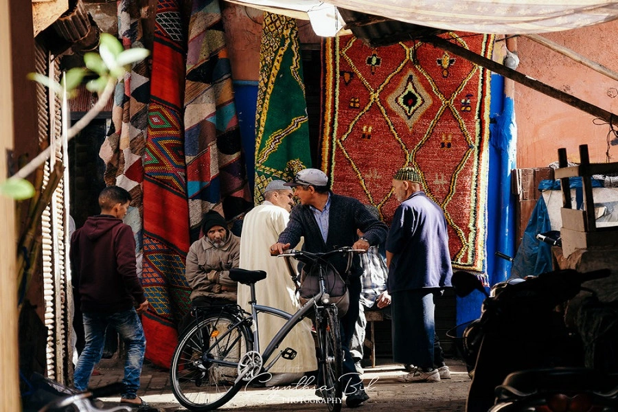 12-Day Morocco Tour from Casablanca