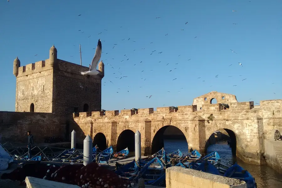 Day Trip from Marrakech to Essaouira