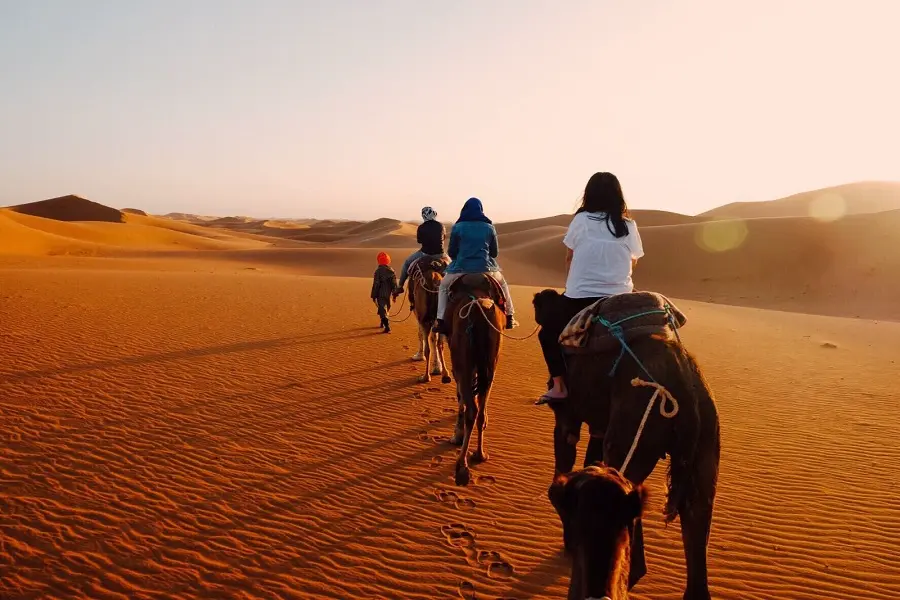 2 Nights Camel Trek in Merzouga