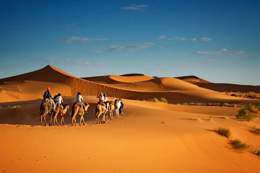 2 Nights Camel Trek in Merzouga