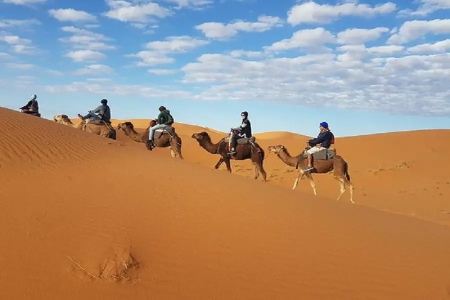 Sunrise Camel Ride in Merzouga Desert