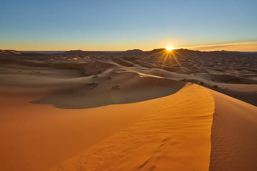 Sunrise Camel Ride in Merzouga Desert