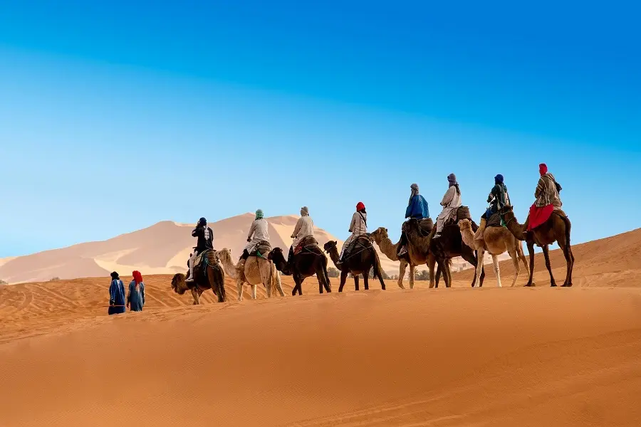 Sunset Camel Ride in Merzouga Desert